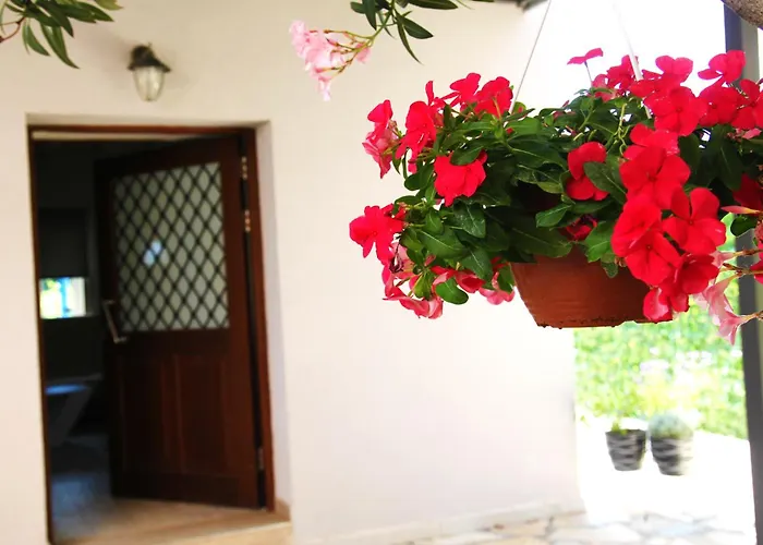 The Vineyard Lefkas Appartamento Lygia (Lefkada)