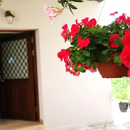 The Vineyard Lefkas Apartment Lygia (Lefkada)